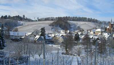 Faxe Schwarzwälder Hof