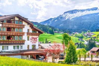 Genießerhotel Almhof Genießerhotel Almhof
