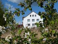 Gästehaus Das Haus am Teich