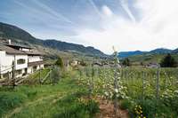 Chalet Hotel Gravenstein